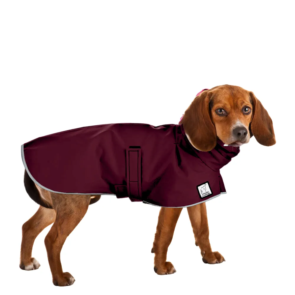 Beagle Raincoat