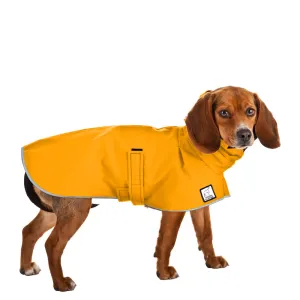 Beagle Raincoat