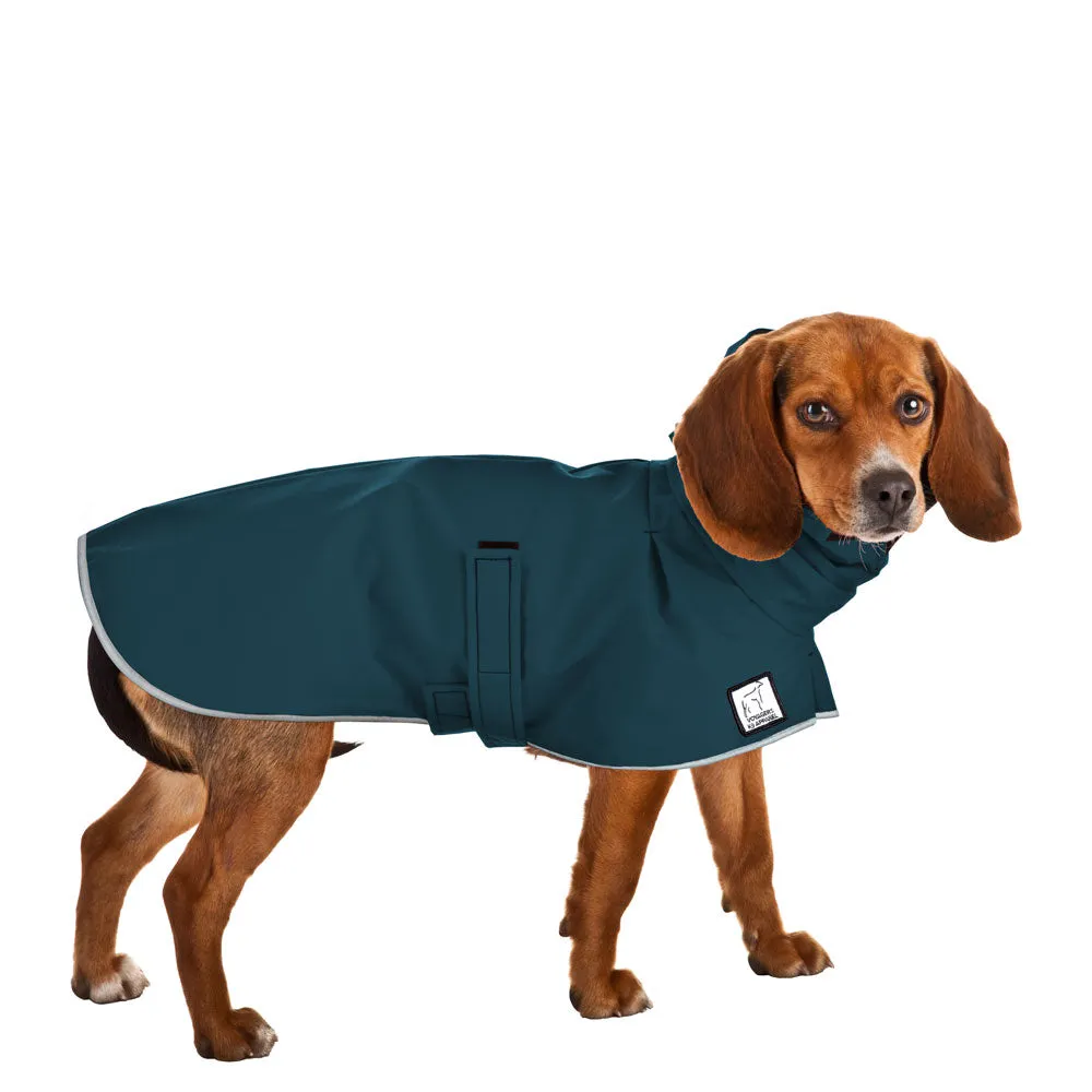 Beagle Raincoat