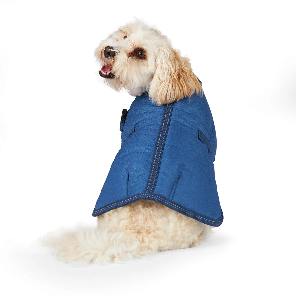 Kazoo Apparel Adventure Dog Coat River Extra Extra Small ***